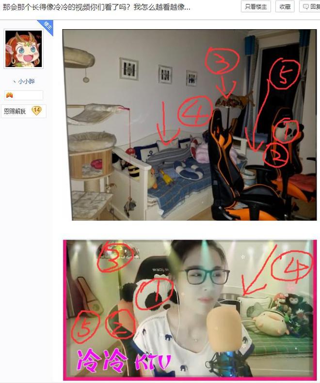 啄木鸟系列壮志凌云 鸟系我非常乐意为你提供帮助