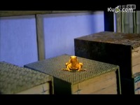 小包子up主 动态贴纸与转场特效