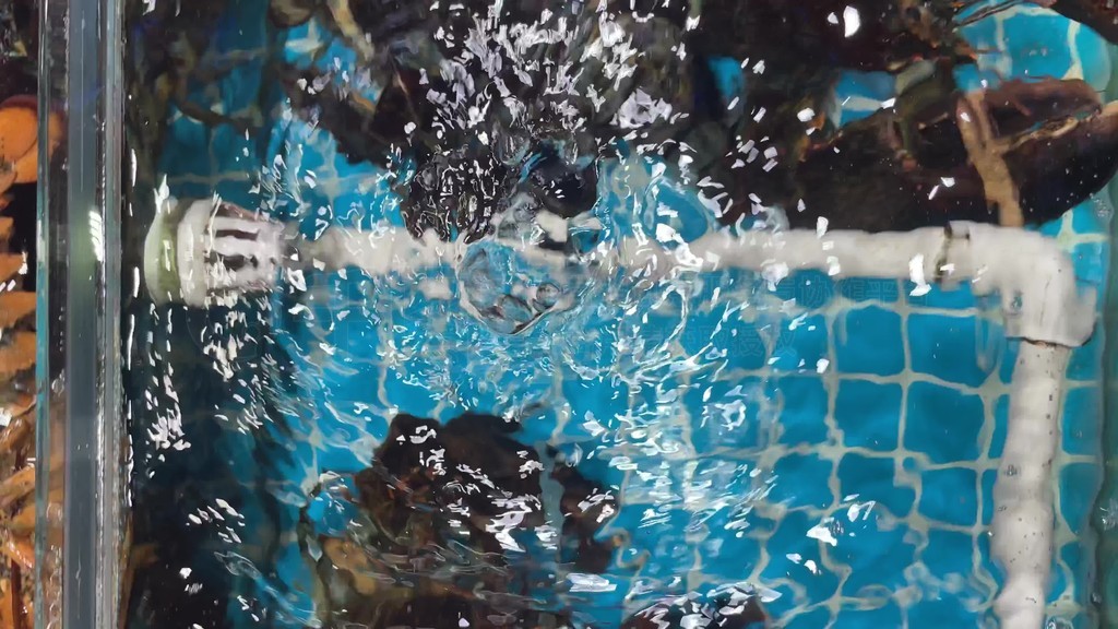 视频l 遇到了什么具体问题