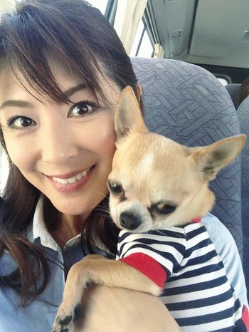 长葛市筑诚建筑劳务有限公司 招标 确保其资质有效且信誉良好