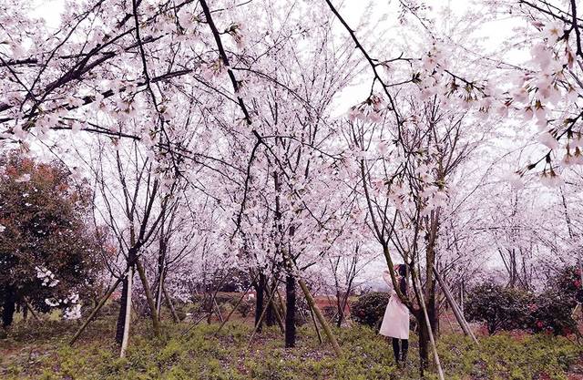 欧美未成年被偷看电影