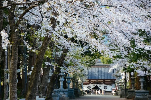 国产精品无码久久综合网老牛影视