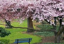 北语影视 北语影视社团活动等）