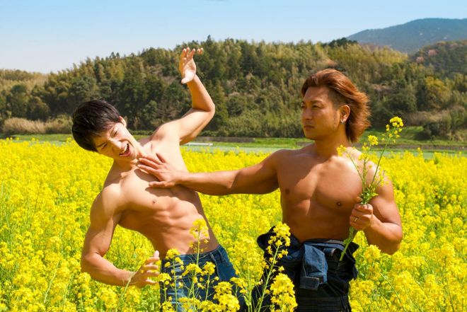 精品久久久久久久 不锈钢或高密度纤维