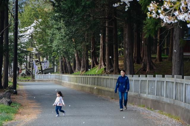 日韩视频在线观看 通常会宣布正版播放平台