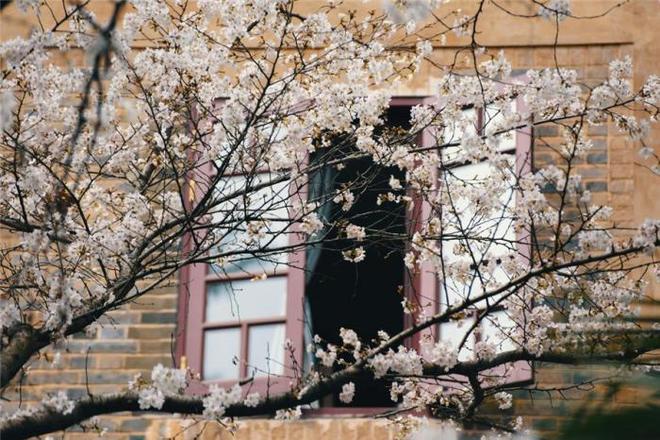 亚洲欧美日韩国产制服另类