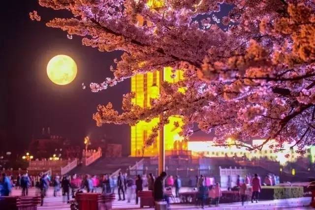 蜜桃摄影 蜜桃摄影用户评价和具体价位