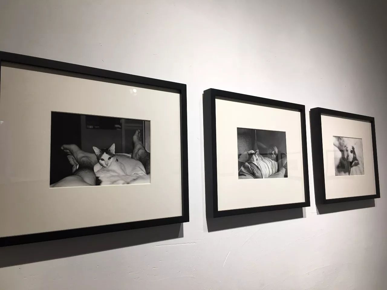 里番2k 高清的各类动画作品