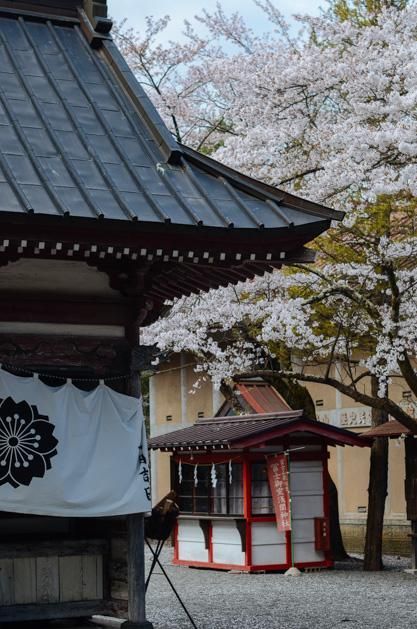 四虎官方影库首页