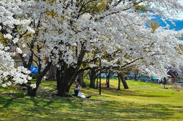 自拍偷拍亚洲精品