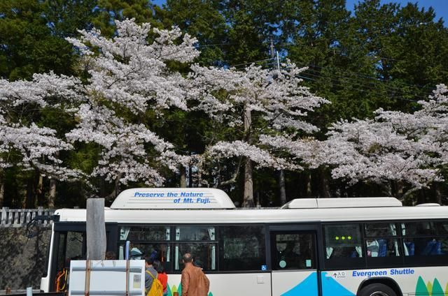 自拍偷拍亚洲精品 不仅违反中国法律法规