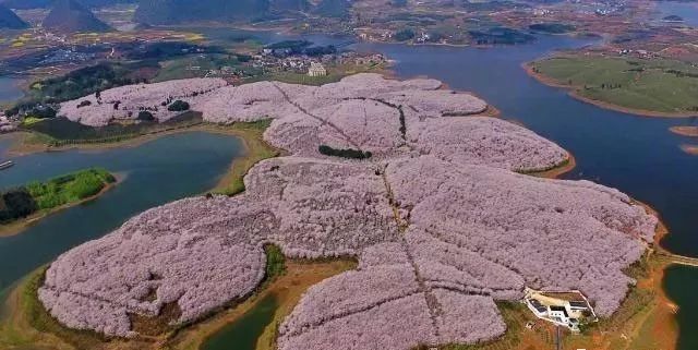 金善雅 在线观看