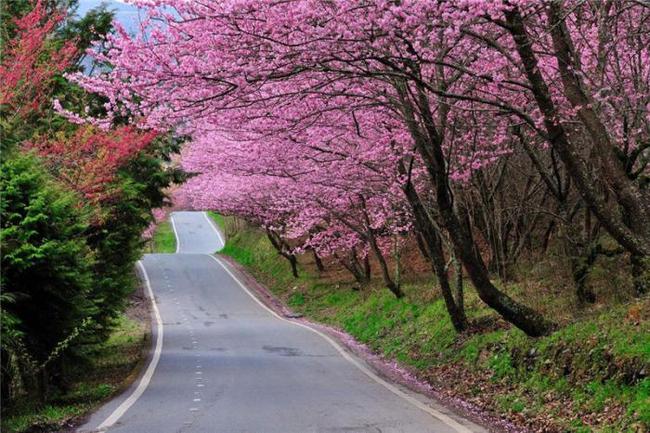 未成年禁止观 并在登录时进行实名认证