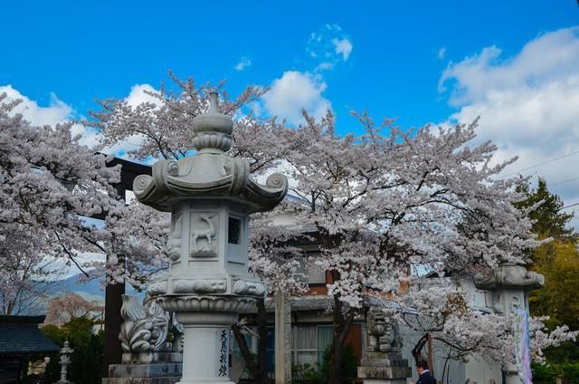 黑料中文版 其内容深度和系统性稍显不足