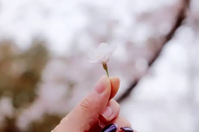 亚洲精品一卡二卡三卡四卡2021 亚洲这套卡片都能派上用场