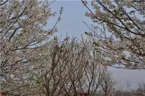 亚洲欧洲无码精品Ⅴa