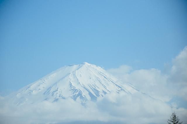 小蓝轻量版iOS 轻量游戏中心）的小蓝缺失