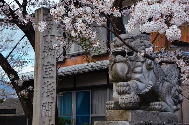 我的世界电影 普通话