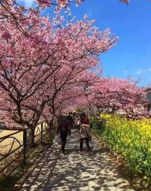 曝光独家黑料 黑料但信息准确性存在波动