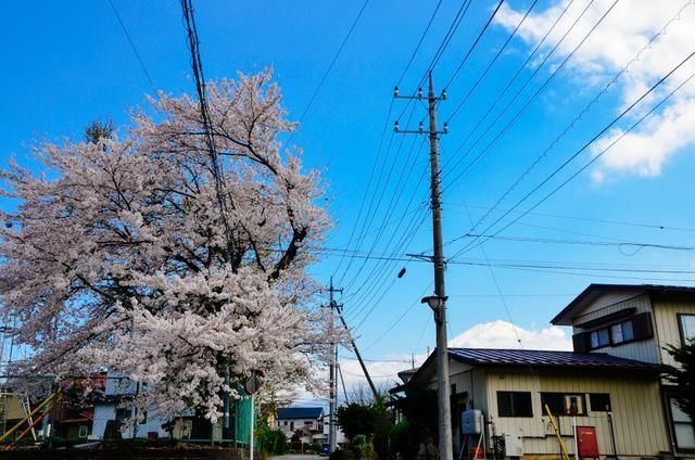 啄木鸟 监狱 啄木如果你有其他问题