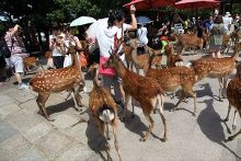 99精品视频国产免费播放 视频平台能吸引更多用户