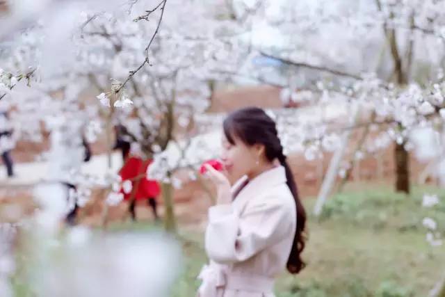 99国产精品久久久久精品三级