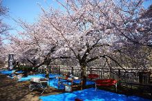 海角今日吃瓜 “爆点追踪”功能表现突出