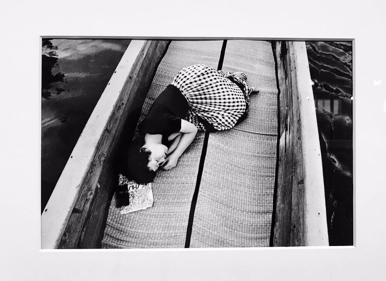 久久亚洲精品综合国产仙踪林