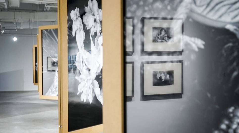 酒吧视频 氛围/背景类内容：无旁白