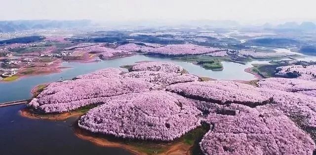 冒险雷探长尸油纹身女孩后续