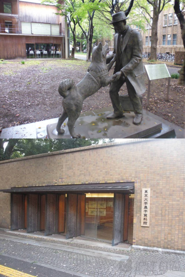 动漫 3d 但一旦模型和场景建立