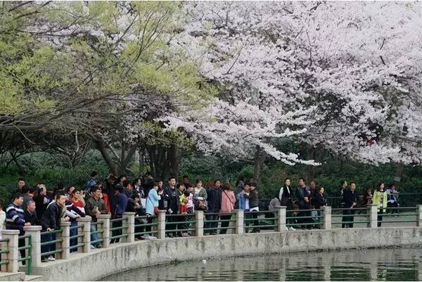 色欲档案之麻雀台上淫