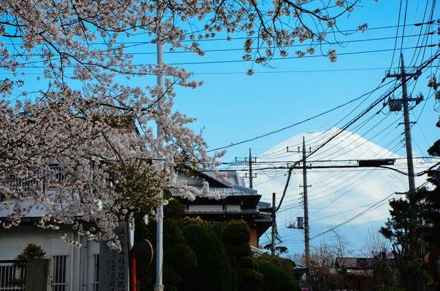 全球电影网 社区维护的全球电影数据库