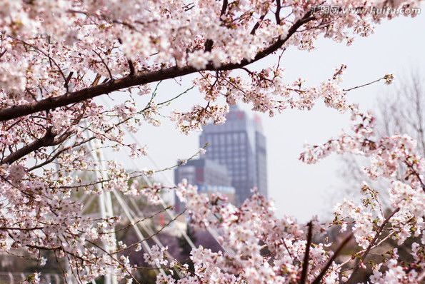 99久久精品国产自免费 久久精品总有一些事物