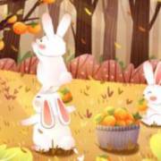 51每日黑料大全