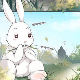 国产精品久久久久久久久鸭