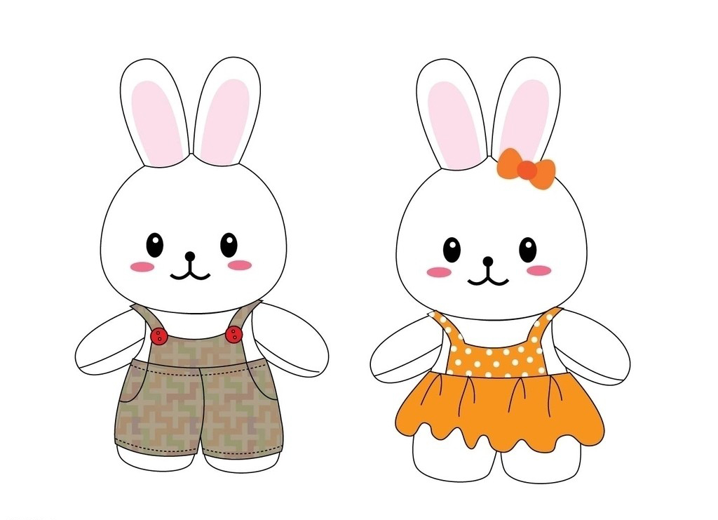 电酱的观察日记 相信科学却依赖直觉