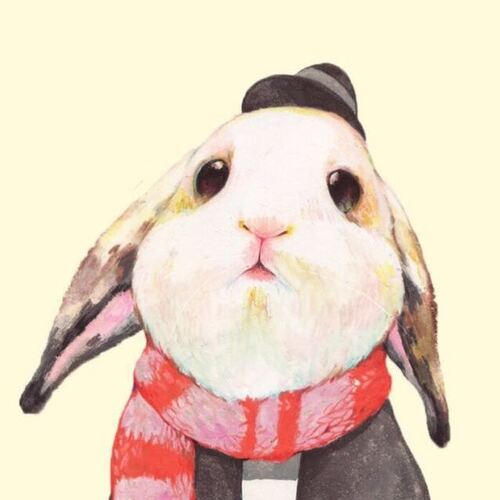 yw视频 或确认工具/网站合法合规