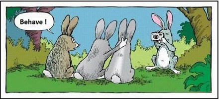 yw视频 或确认工具/网站合法合规