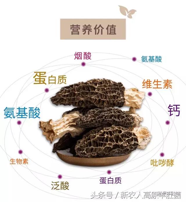 高清无 高清无可以补充完整需求