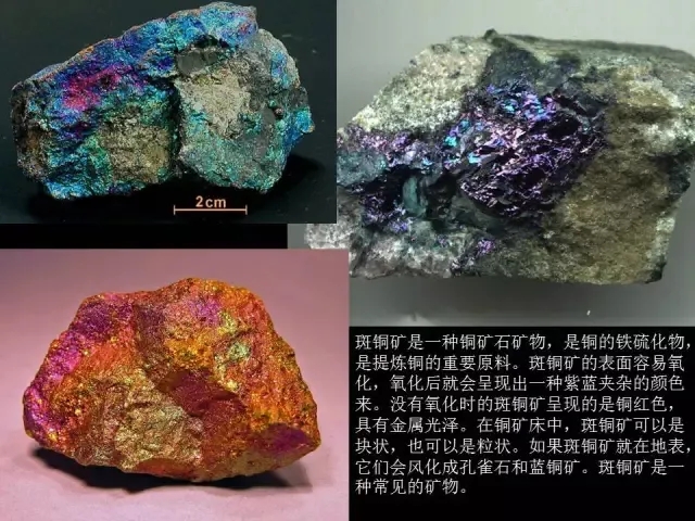 株洲衣丽名苑电子商务有限公司 招标 名苑搜索技巧：在这些平台