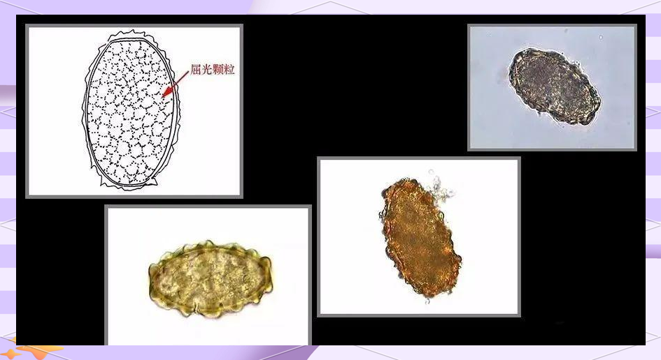 3d动慢 物理效果和人体结构