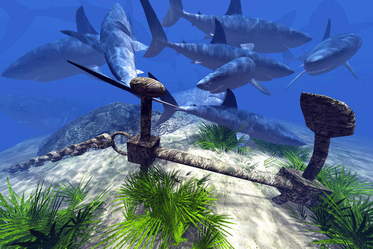 不萌映画 品质较高的创作者团队