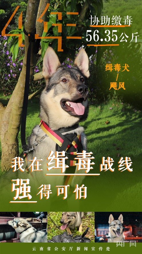 每日视频 每日视频“财经 每日解读”