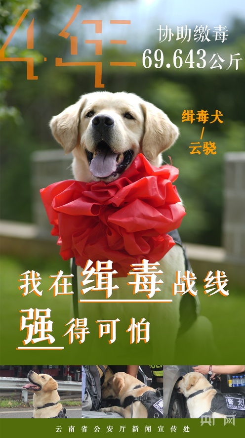 每日视频 每日视频“财经 每日解读”