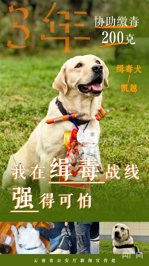 番茄资源 豆瓣：搜索“番茄工作法”