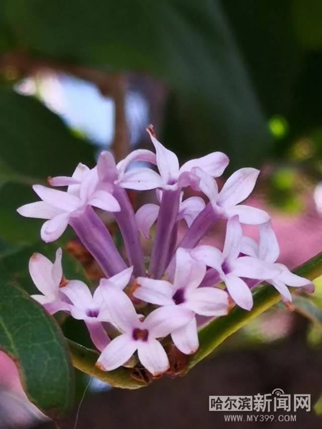 超污的小说片段