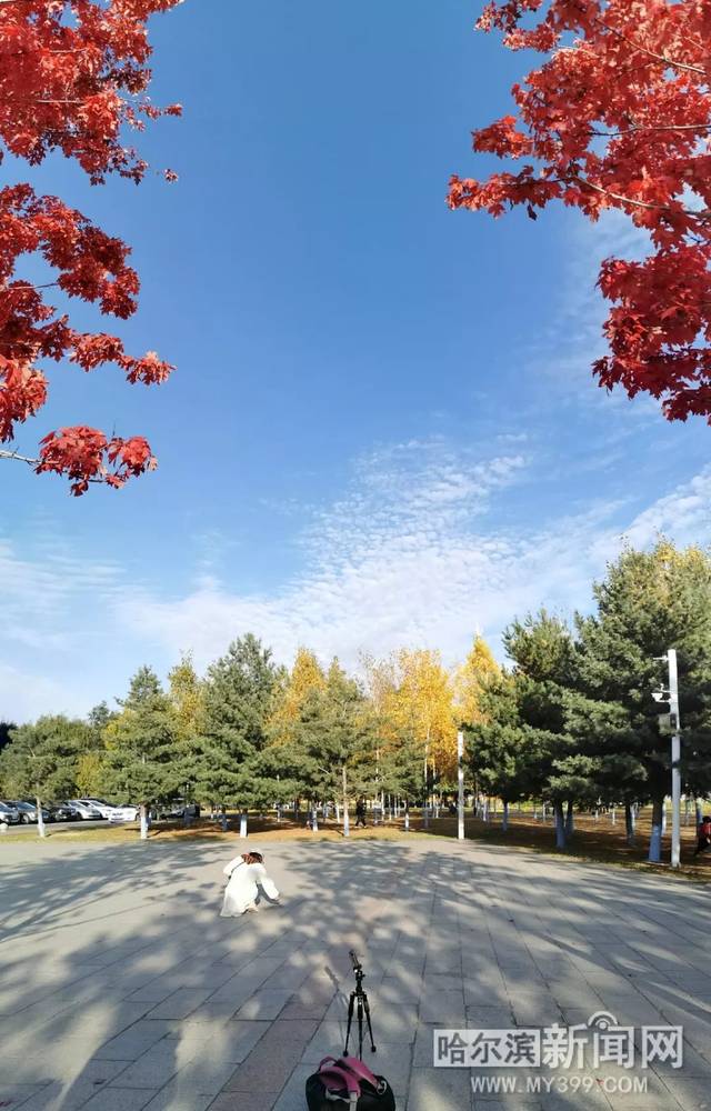 平底鞋视频 鞋视展示各种品牌和设计