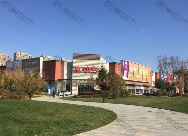 番剧视频在线观看