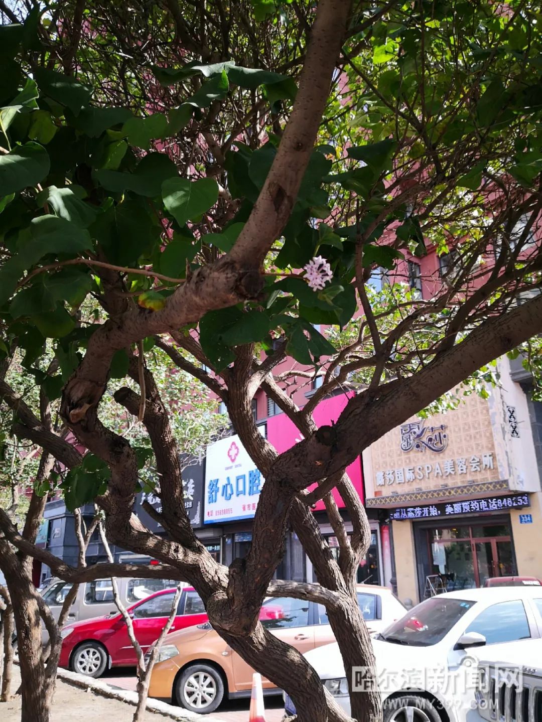 3d涩涩动画 涩涩动伦理和个人隐私问题